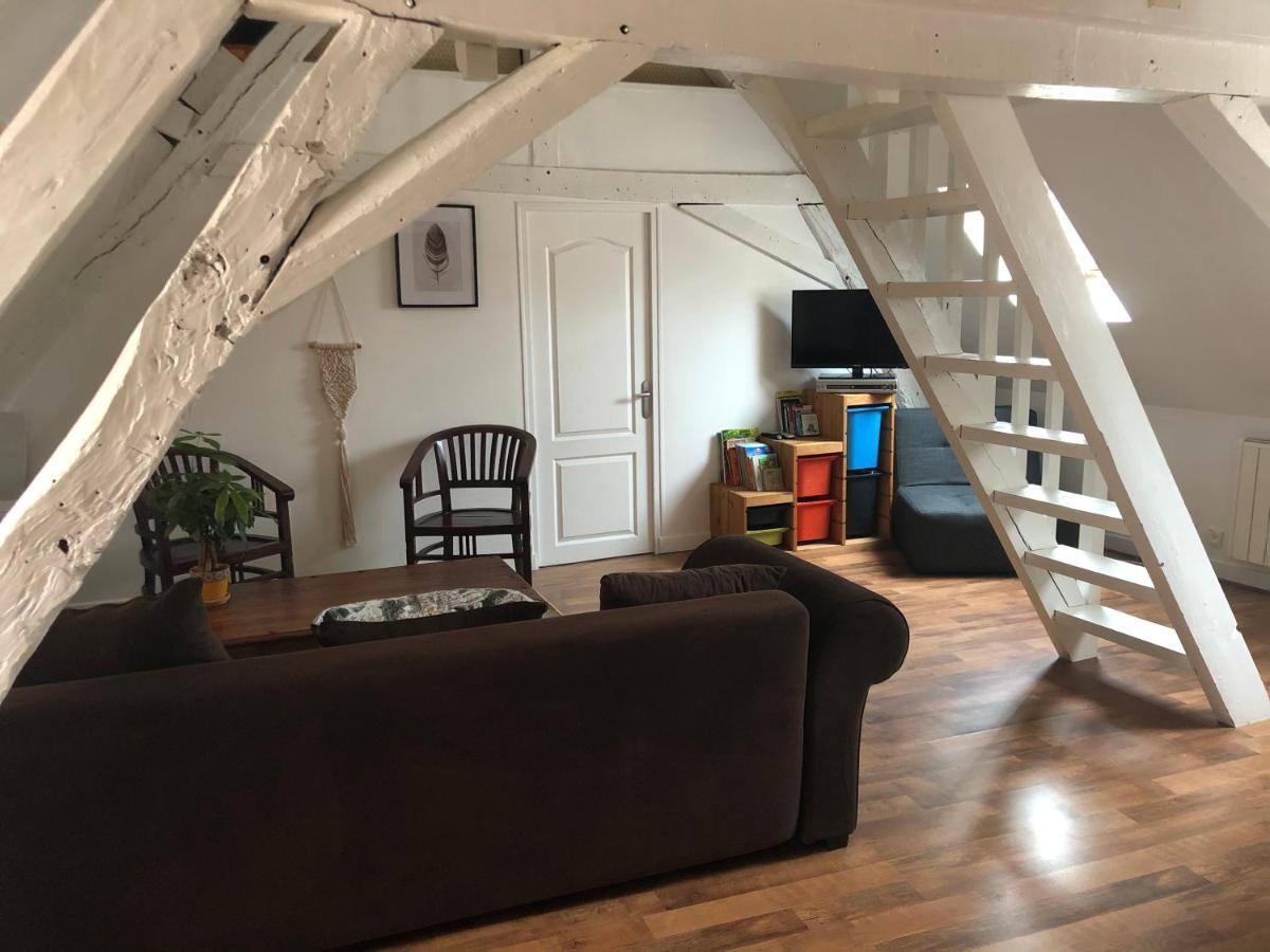Le Grand Appartement - 90m2- 2 chb , 1 mezzanine - 6pers Romorantin-Lanthenay Exterior foto